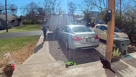 Cat Greets Amazon Delivery Driver