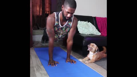 Happy Dog Tries to Distract Owner During Pushups