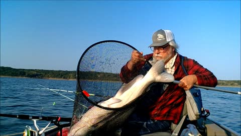 Blue catfish Eastern Kansas 3