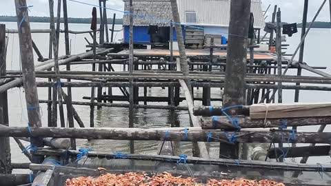 Rumah panjang tempat menangkap ikan dan udang