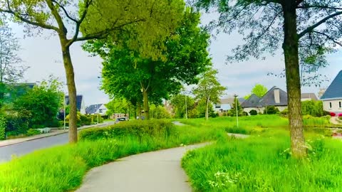 video nature house buildings lake