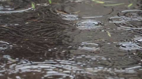 La Lluvia El Agua Húmedo Gotas Por Goteo