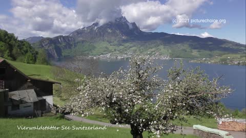 Vierwaldstätter See