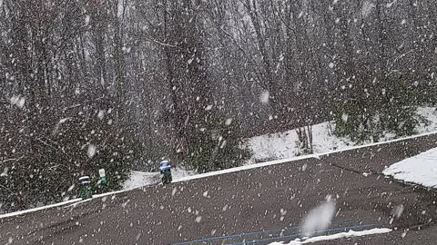 Peacefull high-def video of snow falling in nature