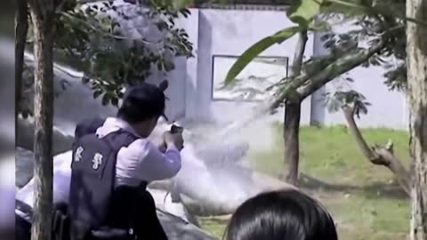 Man enters a lion cage... LIONS ATTACK!! CRAZY!!!