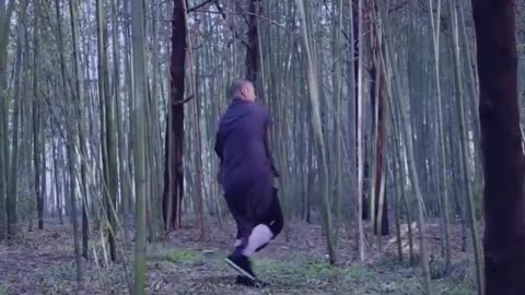 Practicing in the bamboo forest in the morning