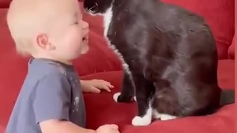 Adorable Babies Love Playing with Cat _ _ Cute and Funny Baby _ Funniest Home Vi