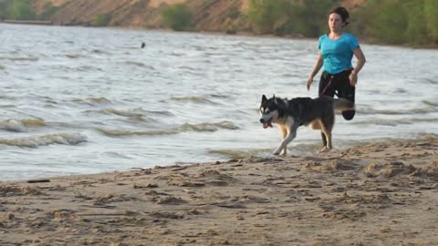 Female runner jogging with siberian husky dogs during the sunrise on beach