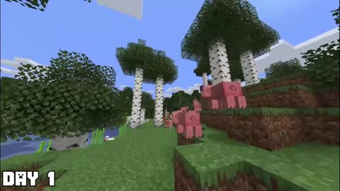 Minecraft in creative mode