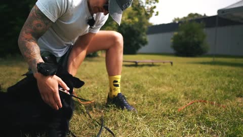 HOW ISAFELY TRAIN MY DOGS COMPLETELY OFF LEASH