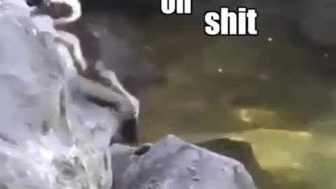 Penguins Being Penguins, While a Guy Narrates - Penguin Tries to Jump