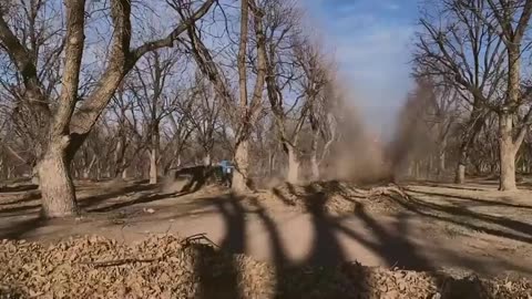 How Modern Agriculture Machine Harvest Tons of Nuts - Pistachio,Almond,Pecan Harvest and Processing