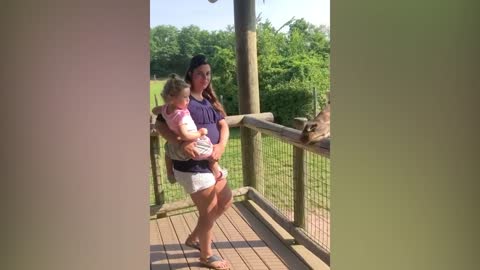 TRY NOT TO LAUGH _ Funny Babies At The Zoo - LAUGH TRIGGER (1)