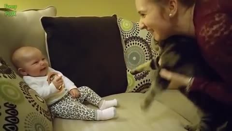 Funny baby cate video