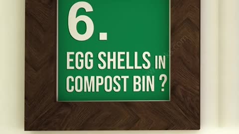 MAGIC OF EGG-SHELLS IN GARDEN | HOW TO USE EGGSHELLS FOR PLANTS?