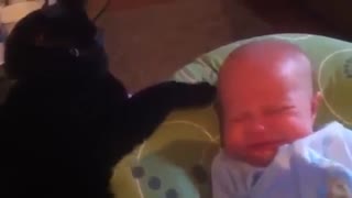 Cutest Baby EVER Gets Stroked By Cat - Amazing!