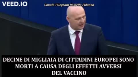 Europarlamentare non le manda a dire a Macron