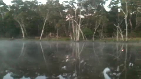 Lancefield Lakes Boxing Day Morning Fish 2014