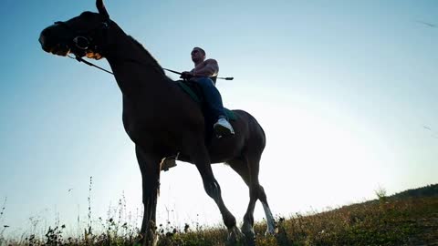 Strong man stately sitting on a horse, walking on the field in the summer on a sunny day