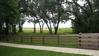 Payne's Prairie Preserve State Park, Florida