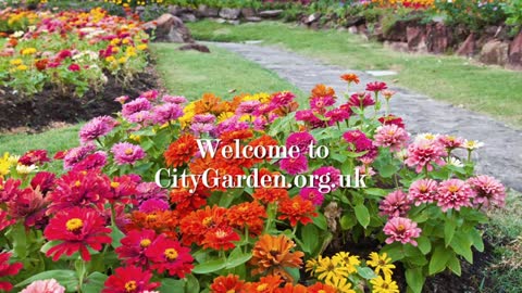 City Garden