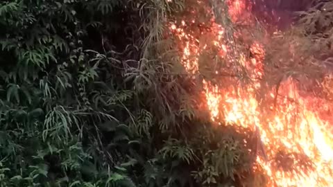 Fire of mountain #fire of mountain in India