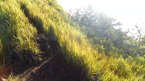 Climbing Mount Ungaran via Perantunan - Right Left Gorge