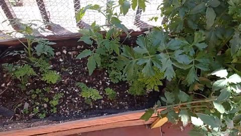 Cocina De Campo en tu Huerto jardín