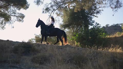 Side view graceful stallion with female rider on back walking up the hill