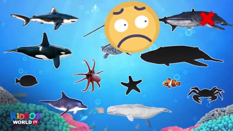 LEARN SEA ANIMAL NAMES-OCEAN ANIMAL VIDEOS-SEA ANIMAL PUZZLE FOR KIDS!