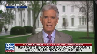 Shep Smith: sanctuary city proposal