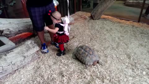 Funny Babies Scared of Seeing Animal.