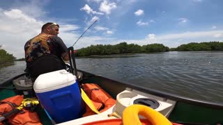 Live bait fishing at Cross Bayou Canal never diasppoints! Sheephead, Drum, Redfish, and more!