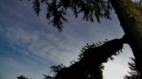 Star gazzing on a clear starry night