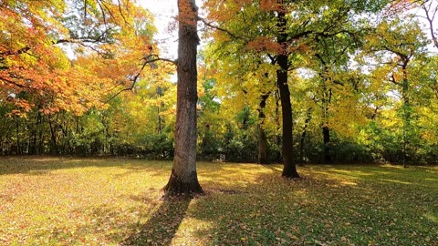 Black Hawk State Park