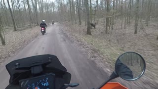 Running Deer Misses Motorcycle Rider by Inches