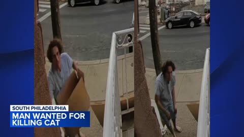 Man wanted for allegedly luring cat and then killing it in Philadelphia