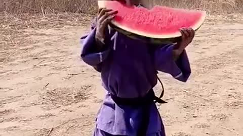 Monkey eating a watermelon🥰