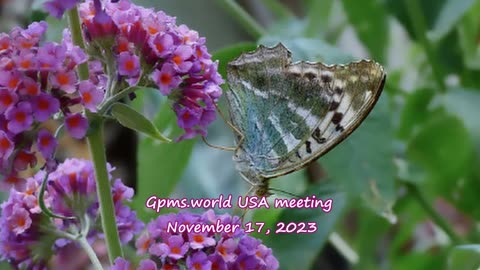 Gpms.world USA meeting November 17, 2023