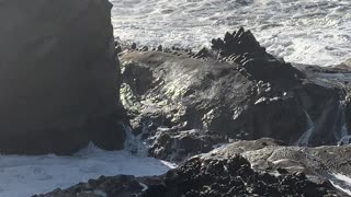 Storm wave Oregon Coast 2019