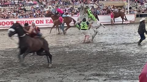 Incredible Bareback Horse Mount At Calgary Stampede Relay