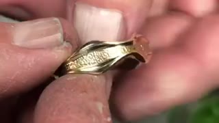 Starfish ring