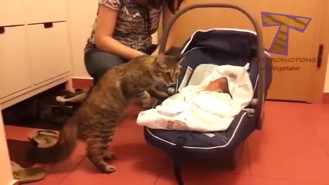 Dog and Cats Meeting Babies For The First Time -So Cute! 😻🐶😍😁