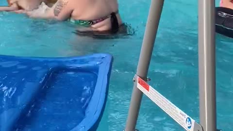 Pup Not Impressed with Pool