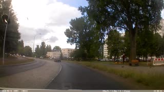 Pedestrian Has Close Call with Falling Branch