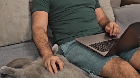 Man Uses Cat As a Mouse Pad