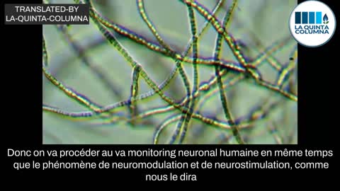 Nanotubes de carbone à base de graphène auto-assemblés dans le vaccin Pfizer.