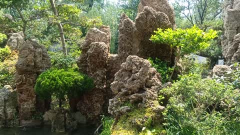 The rockery is covered with vegetation, so beautiful