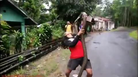 A girl fight with the huge cobra