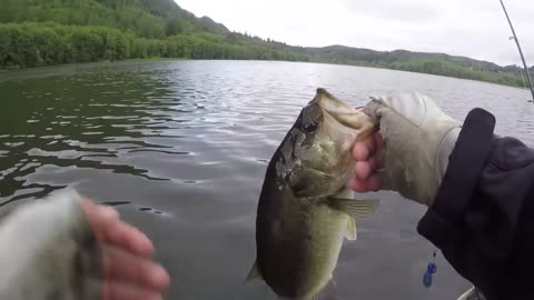 An Awesome Day of Bass Fishing on a Pond - Part 3